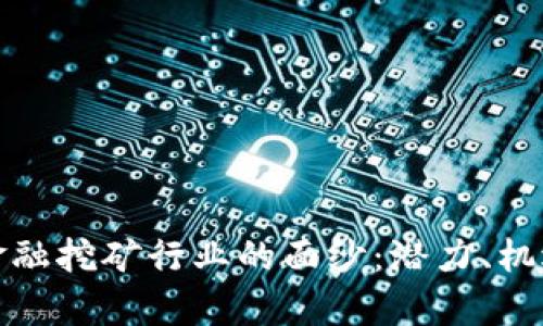 揭开区块链金融挖矿行业的面纱：潜力、机遇与挑战并存