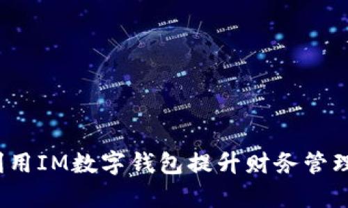 如何利用IM数字钱包提升财务管理效率？