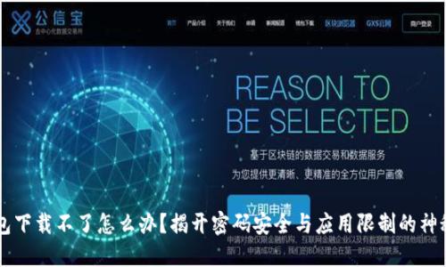 IM钱包下载不了怎么办？揭开密码安全与应用限制的神秘面纱