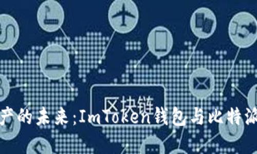 探索数字资产的未来：ImToken钱包与比特派的全面对比