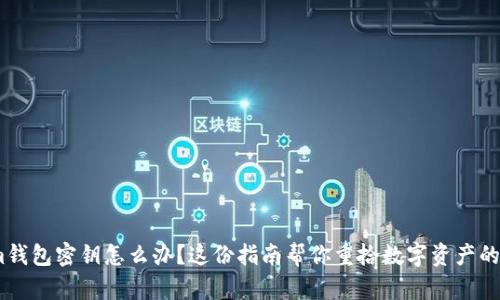 丢失im钱包密钥怎么办？这份指南帮你重拾数字资产的安全感