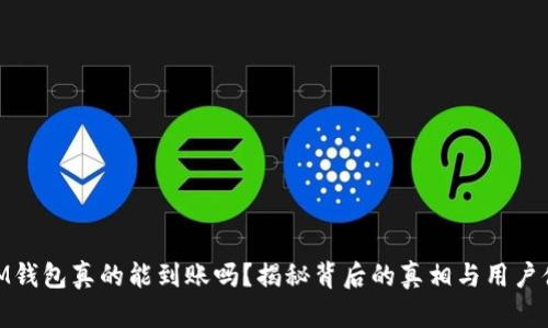 : IM钱包真的能到账吗？揭秘背后的真相与用户体验