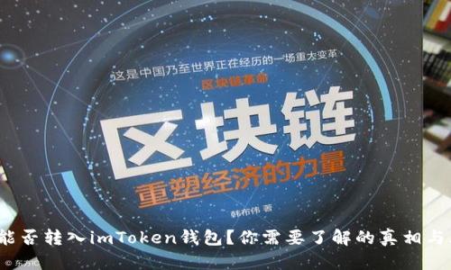 假U能否转入imToken钱包？你需要了解的真相与风险