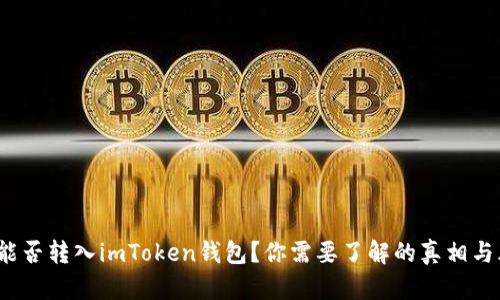 假U能否转入imToken钱包？你需要了解的真相与风险
