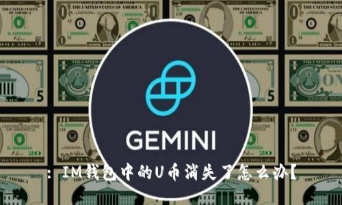 : IM钱包中的U币消失了怎么办？