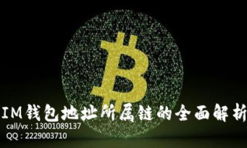 IM钱包地址所属链的全面解析