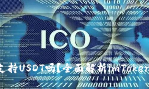 imToken钱包支持USDT吗？全面解析imToken与USDT的关系