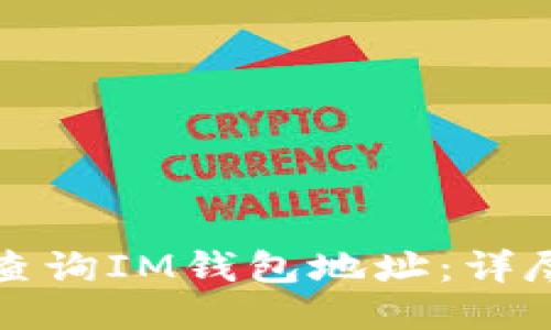 如何查询IM钱包地址：详尽指南