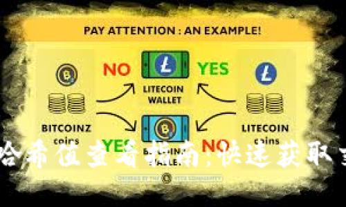 IM钱包哈希值查看指南：快速获取交易信息