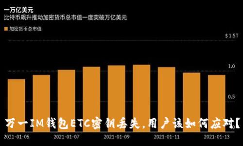 万一IM钱包ETC密钥丢失，用户该如何应对？
