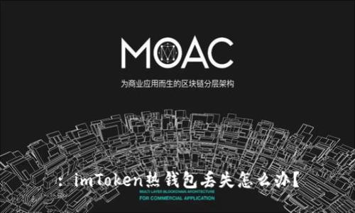 : imToken热钱包丢失怎么办？