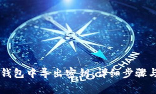 如何从IM钱包中导出密钥：详细步骤与注意事项