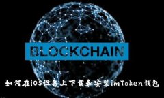 如何在iOS设备上下载和安