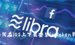 : 如何在iOS上下载安装im