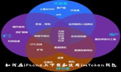 如何在iPhone上下载和使用